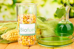 Blaengwynfi biofuel availability